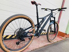 Specialized Stumpjumper / L