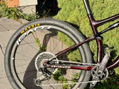 Specialized Epic Expert L