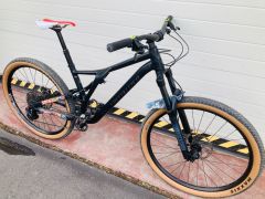 Specialized Stumpjumper / L