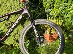 Specialized Epic Expert L