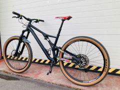 Specialized Stumpjumper / L