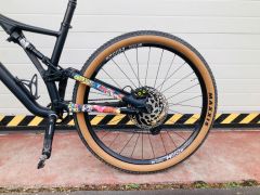 Specialized Stumpjumper / L