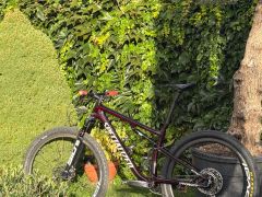 Specialized Epic Expert L
