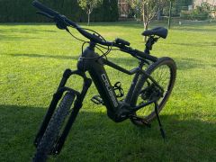 Crussis oneguera series 9