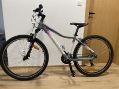 CTM Charisma 1.0 27,5