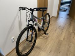 CTM Charisma 1.0 27,5