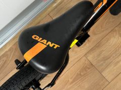 Odrážadlo Giant Pre