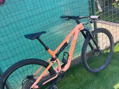 Canyon neuron 6 WMN