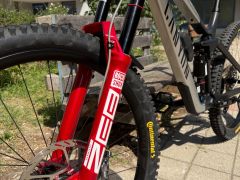 Canyon Strive CFR Underdog