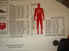 Alpinestars paragon plus vesta