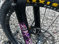 Nukeproof Mega Carbon
