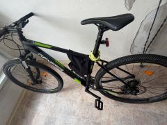 Genesis impact 4.0