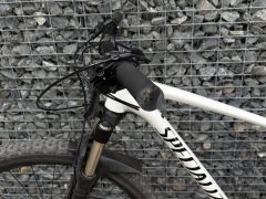 Specialized Rockhopper Expert 2019