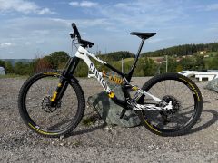 Canyon Torque - CF Cllctv FW (2024)
