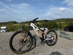 Canyon Torque - CF Cllctv FW (2024)