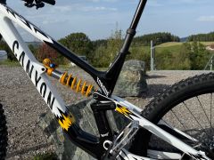 Canyon Torque - CF Cllctv FW (2024)