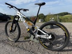 Canyon Torque - CF Cllctv FW (2024)