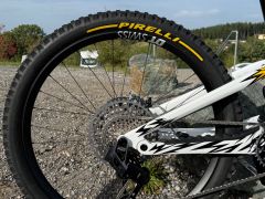 Canyon Torque - CF Cllctv FW (2024)