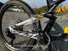 Canyon Torque - CF Cllctv FW (2024)