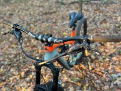 Canyon spectral cf 8