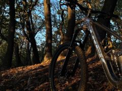 Trek Slash 8 Lithium Grey/Dnister Black L s karbónovými kolesami Bontrager Line Elite