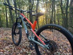 Canyon spectral cf 8