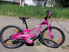 Specialized Hotrock 20