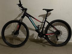 Orbea Mx40 2020