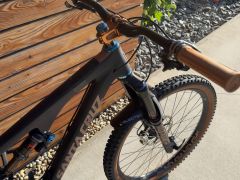 Santa Cruz Bronson