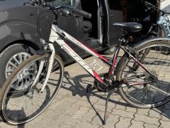 CTM Twister 1.0 Lady