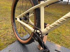 Canyon Stitched 360 Cllctv