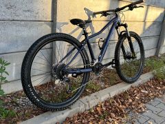 Scott Contessa 2022