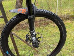 Canyon Neuron al 7 2021