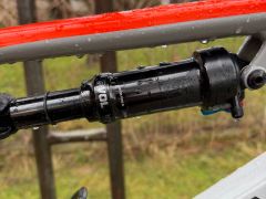 Canyon Neuron al 7 2021