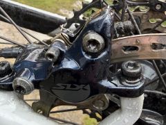 Canyon Neuron al 7 2021