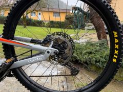 Canyon Neuron al 7 2021