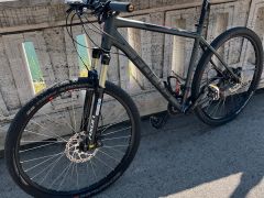 Focus whistler 29