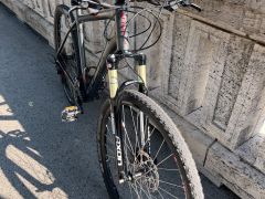 Focus whistler 29
