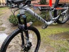 Canyon Neuron al 7 2021