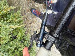 Canyon Neuron al 7 2021