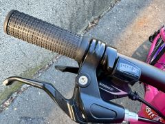 Trek Wahoo