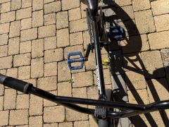 Bmx cult devotion 20