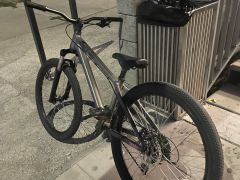 Kellys Whip 10