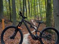 Specialized Turbo Levo SL Comp Alloy 2025