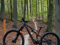 Specialized Turbo Levo SL Comp Alloy 2025