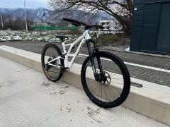 Specialized Stumpjumper 2019, L, 29