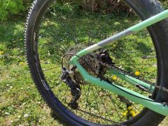 CTM Pulze Xpert