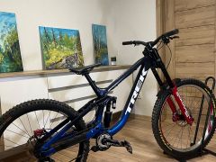 Trek session 2025 custom build