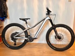 Enduro Dartmoor Hornet Pro - Sram GX, Carbon, Magura