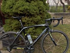 Wilier Triestina Zero 9, Campagnolo